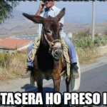 Rosario